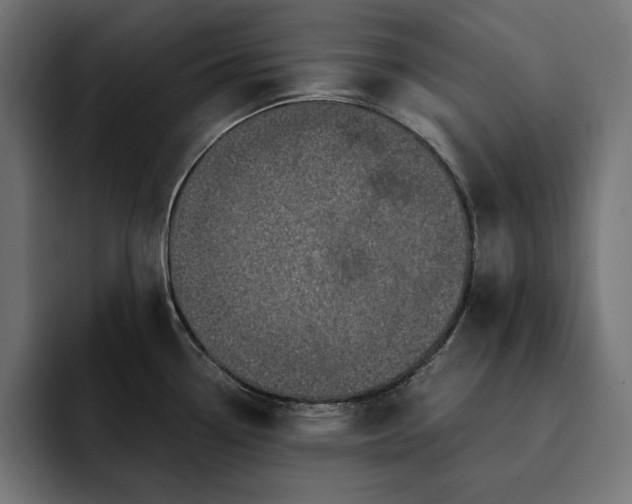 X0000093121338200710101033