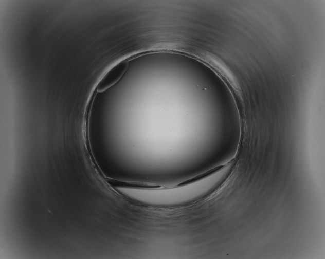 X0000093121340200710101033