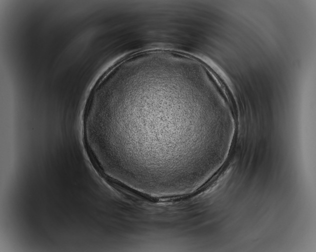 X0000093121341200710101033