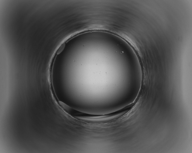 X0000093121342200710101033