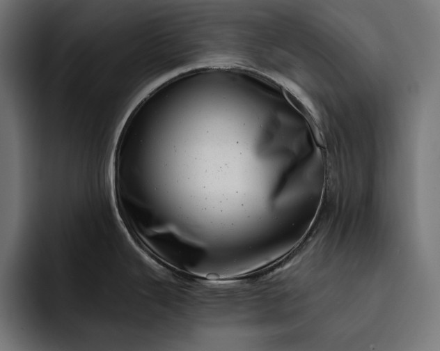 X0000093121343200710101033