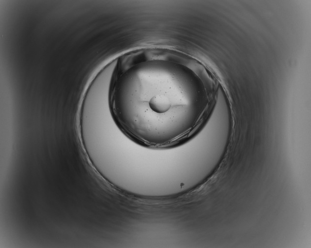 X0000093121344200710101033