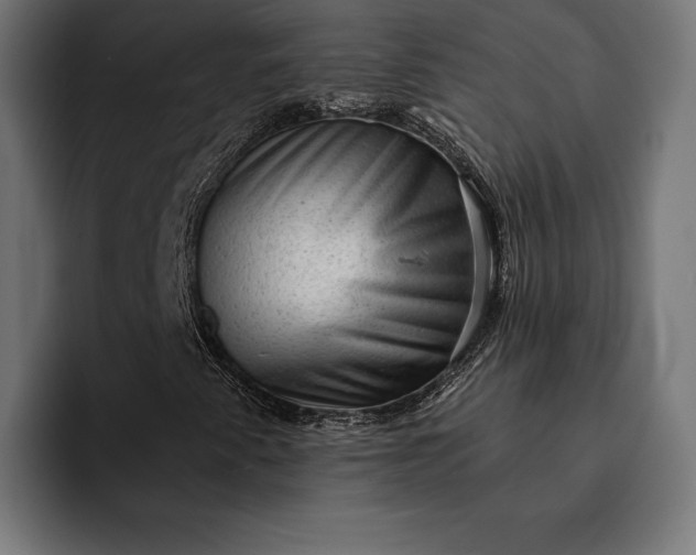 X0000093121345200710101032