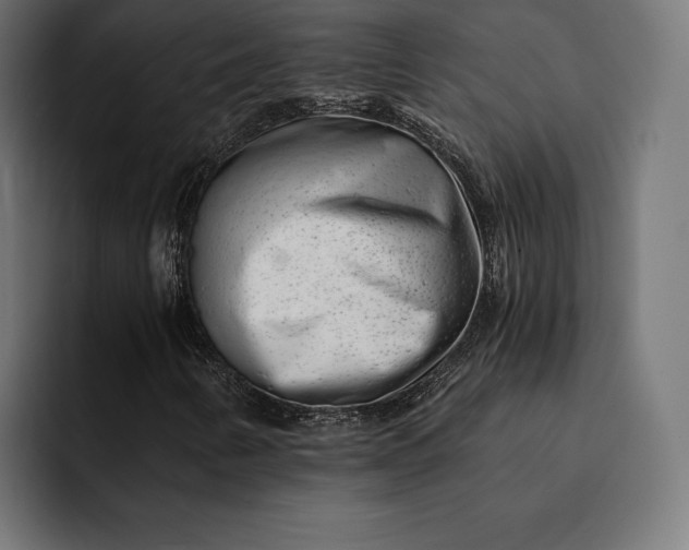 X0000093121346200710101032