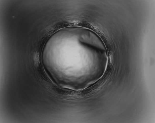 X0000093121347200710101032