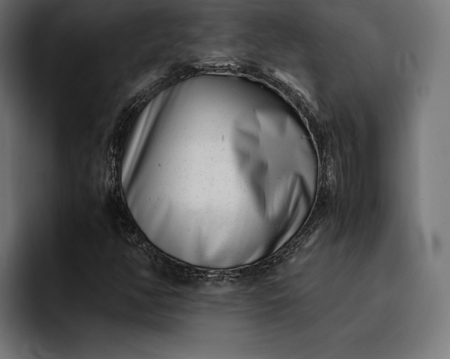 X0000093121350200710101032