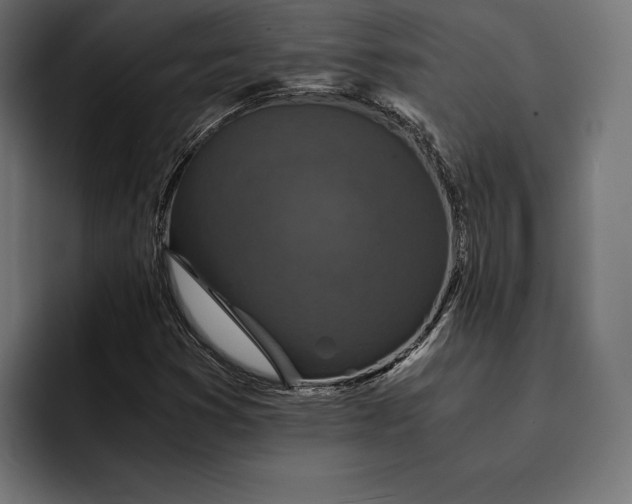 X0000093121353200710101032