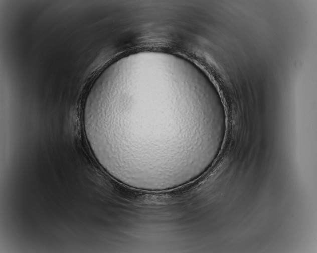 X0000093121354200710101032