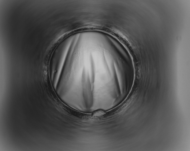 X0000093121355200710101032