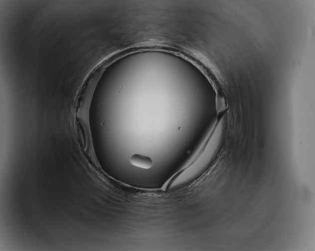 X0000093121356200710101032