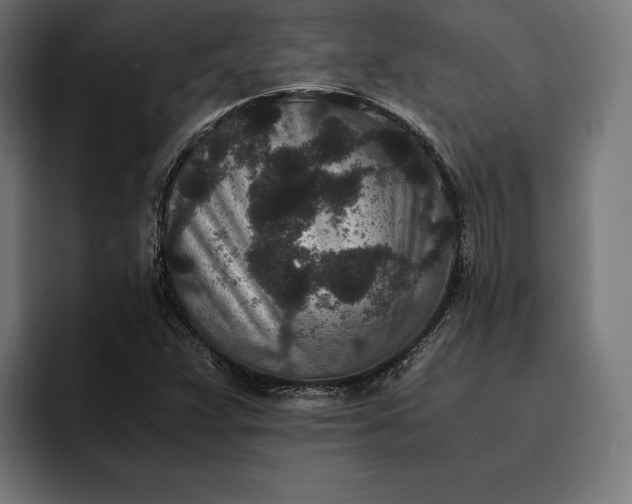 X0000093121359200710101032