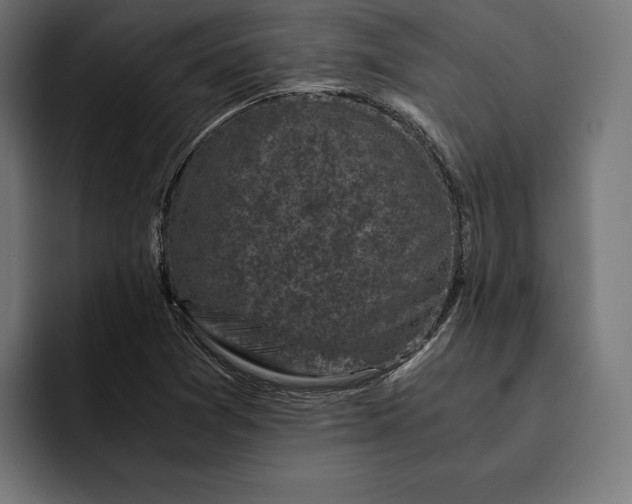 X0000093121361200710101032