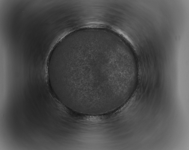 X0000093121362200710101032