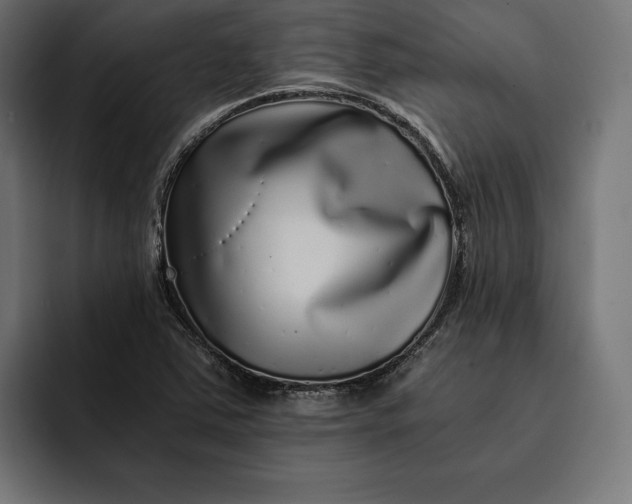 X0000093121363200710101032