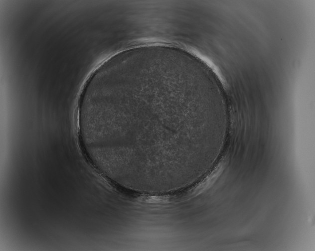 X0000093121365200710101032