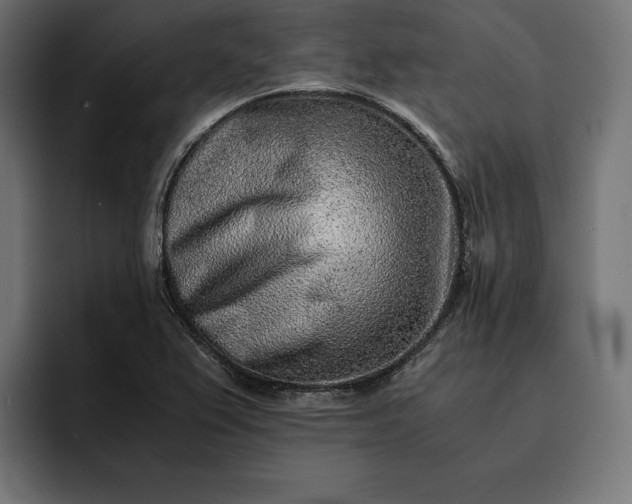 X0000093121367200710101032