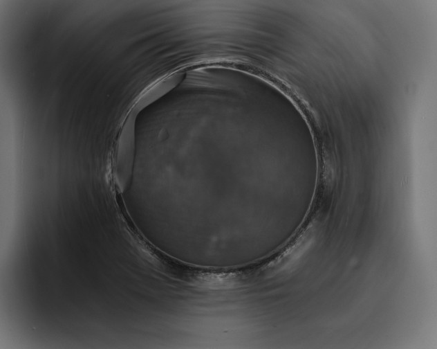 X0000093121369200710101032