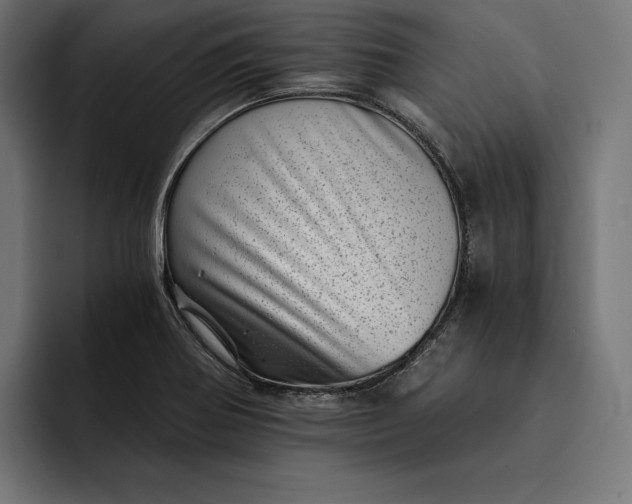 X0000093121370200710101032