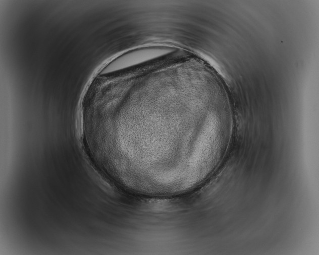 X0000093121371200710101032