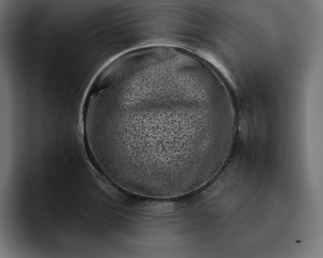 X0000093121372200710101032