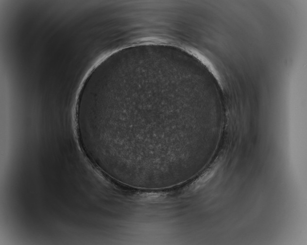 X0000093121373200710101032