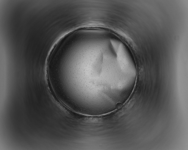 X0000093121374200710101032