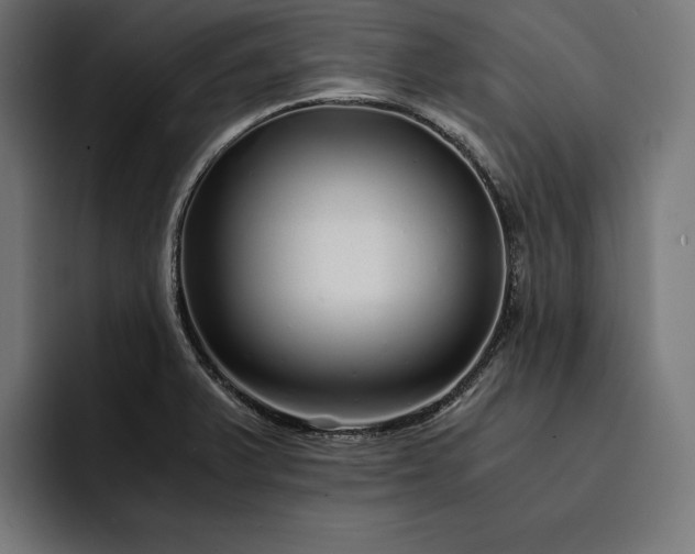 X0000093121375200710101032