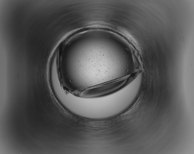 X0000093121376200710101032