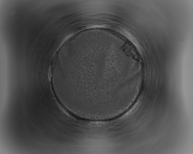 X0000093121377200710101032