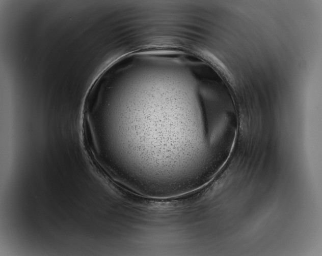 X0000093121378200710101032