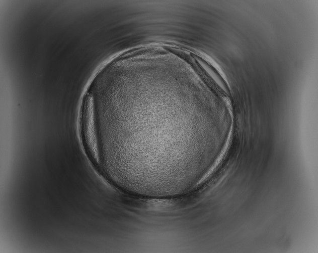 X0000093121379200710101032