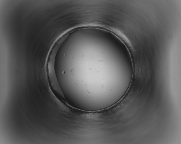 X0000093121380200710101032