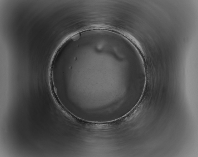 X0000093121381200710101032