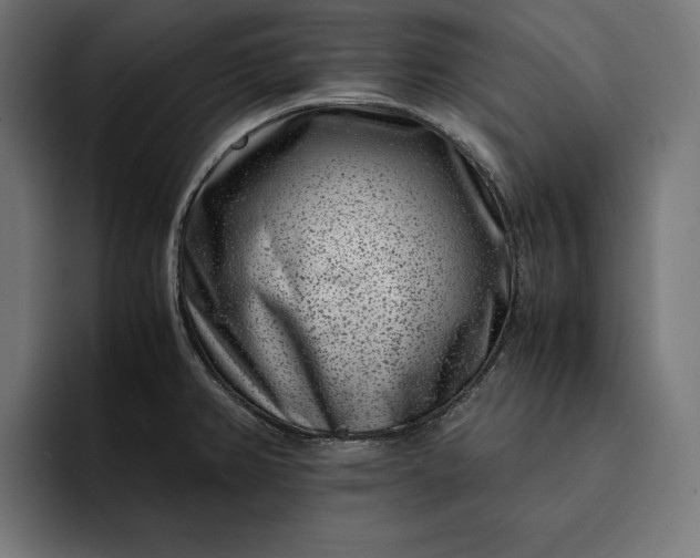 X0000093121382200710101032