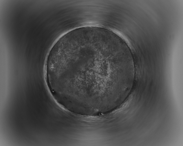 X0000093121383200710101032