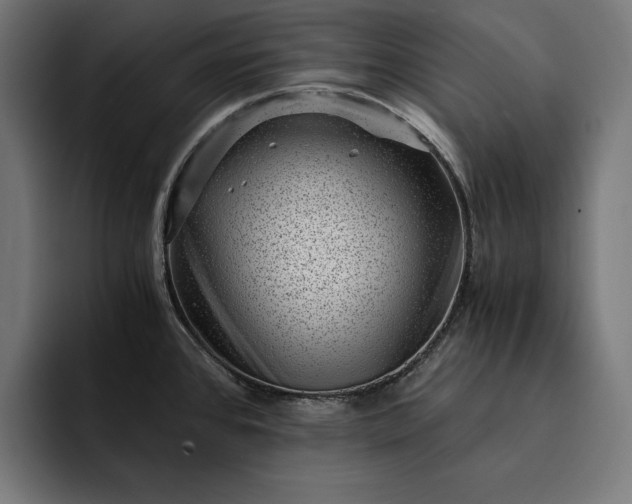 X0000093121384200710101032