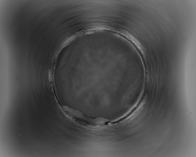 X0000093121385200710101032