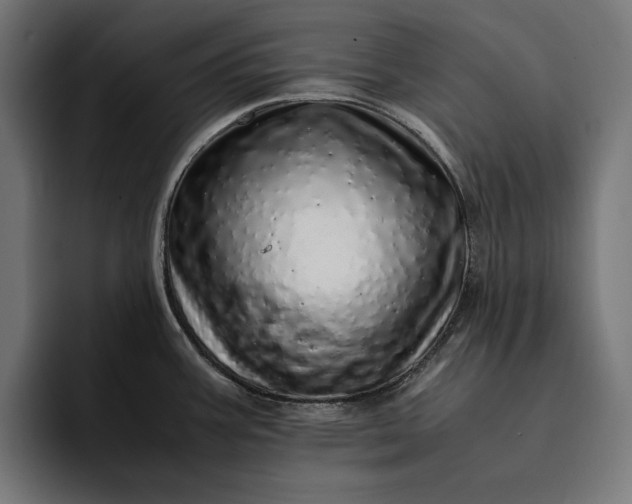 X0000093121387200710101032