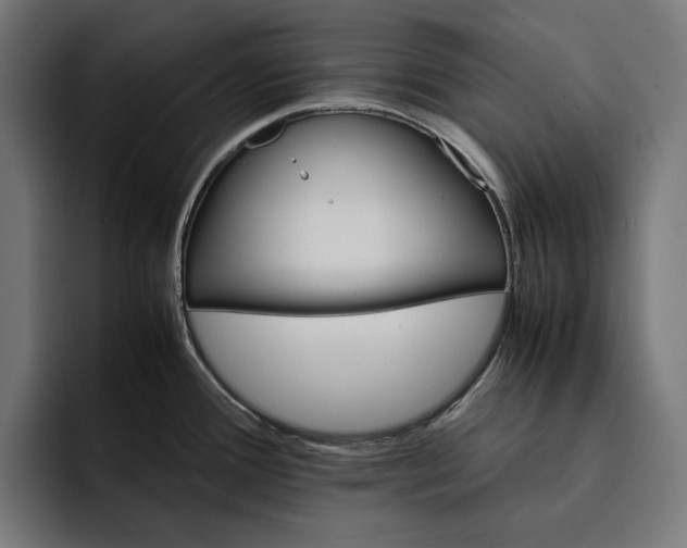 X0000093121388200710101032