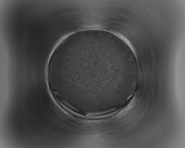 X0000093121389200710101032