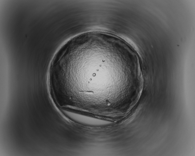 X0000093121391200710101032