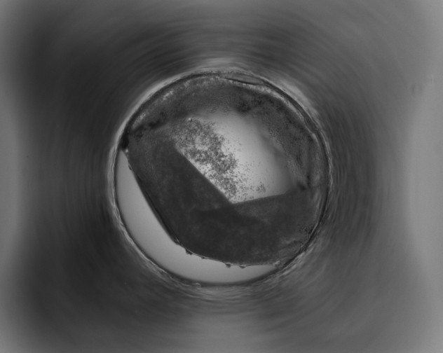 X0000093121392200710101032