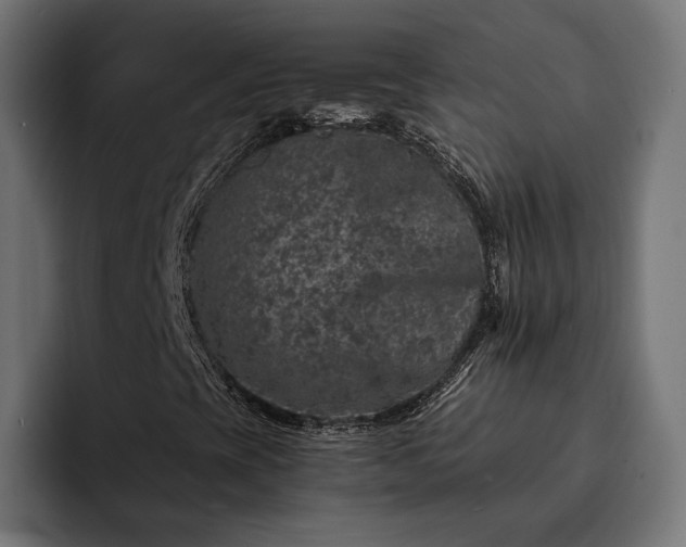 X0000093121393200710101031