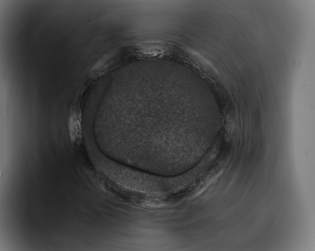 X0000093121394200710101031