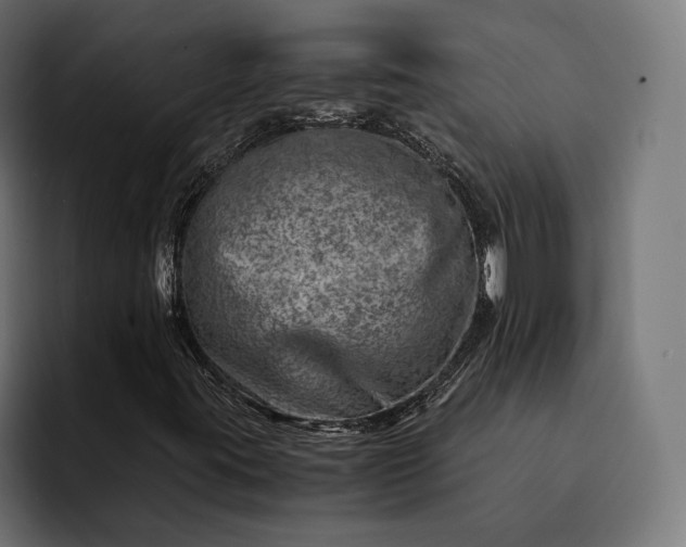 X0000093121395200710101031