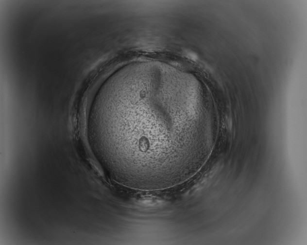 X0000093121398200710101031