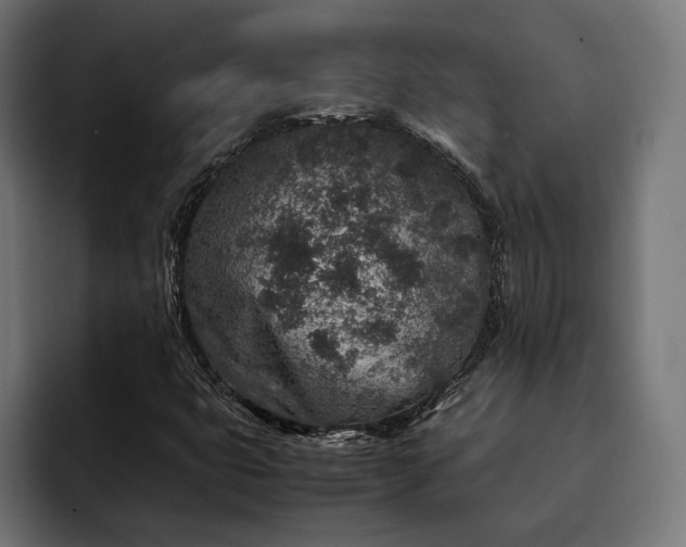 X0000093121399200710101031