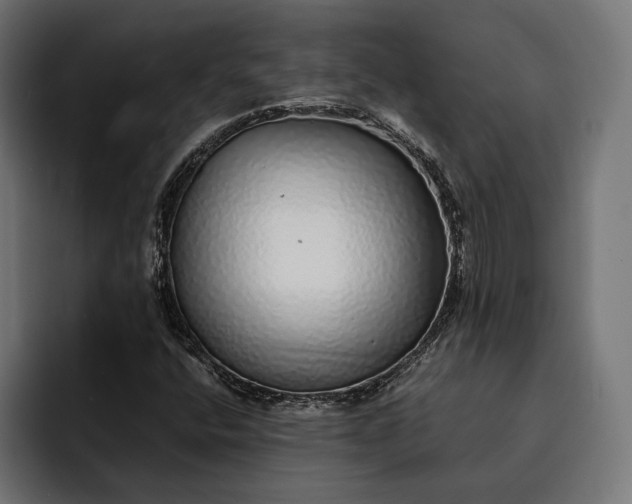 X0000093121400200710101031