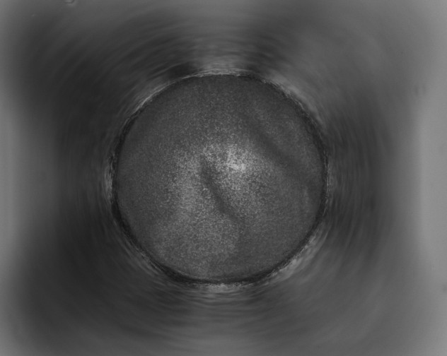 X0000093121401200710101031