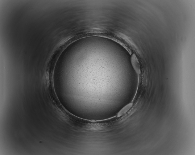 X0000093121402200710101031